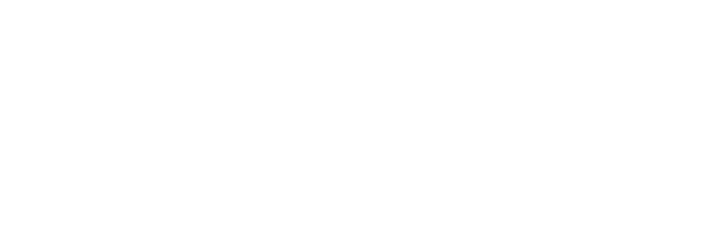 Hapag lloyd White logo