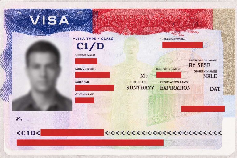 Us Visa